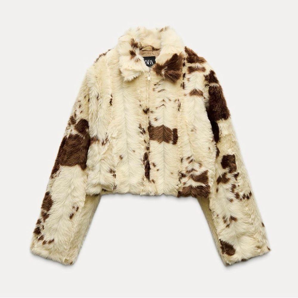Zara Cream Teddy Jacket with Brown Accents - Picture 4 of 8
